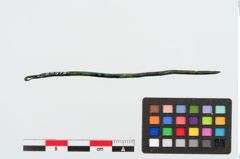 Foto von Bronzenähnadel (NHMW-PRAE-024978)